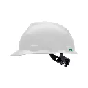 CASCO MSAA.webp